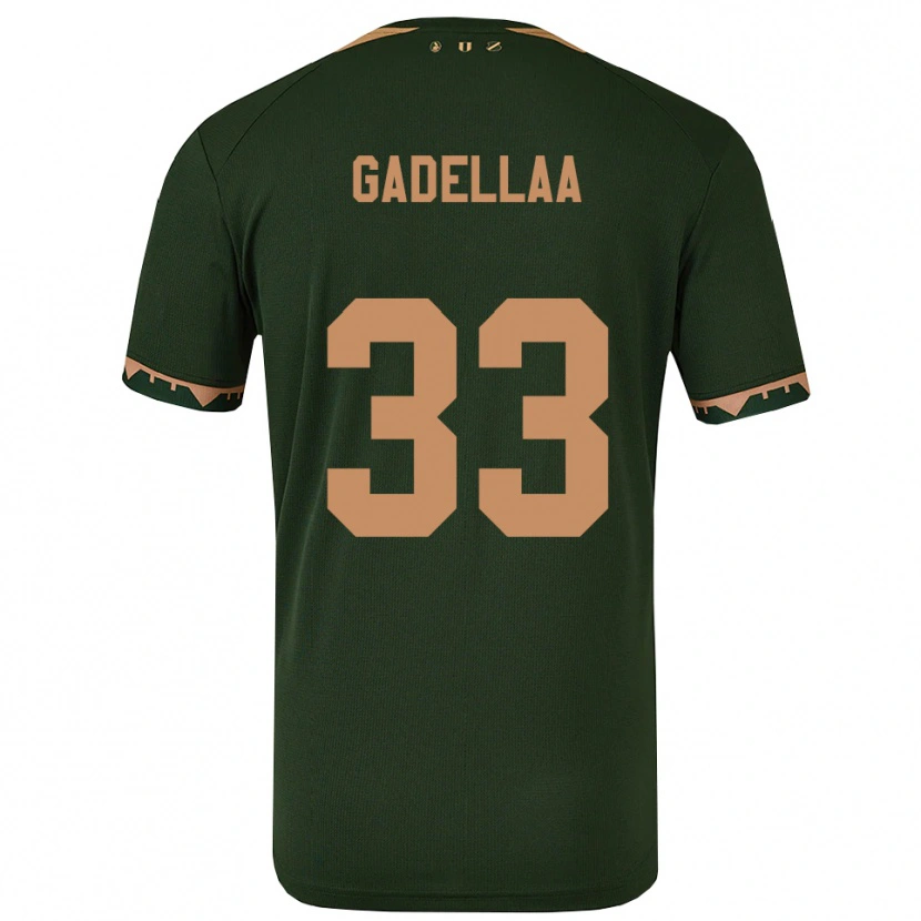 Danxen Criança Camisola Kevin Gadellaa #33 Verde Dourado Alternativa 2025/26 Camisa