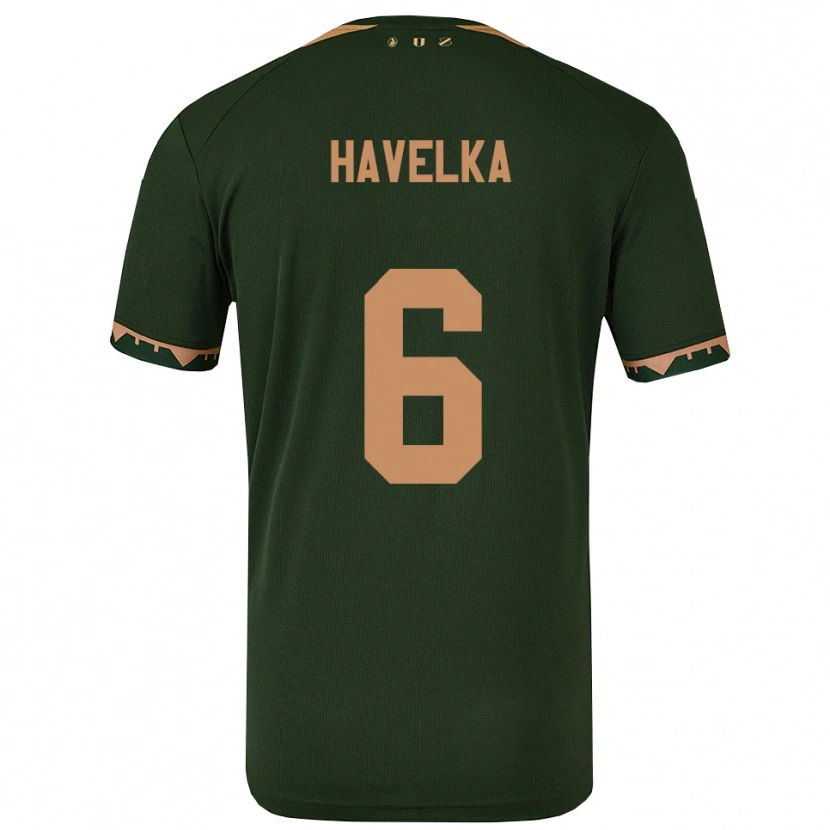 Danxen Criança Camisola Matyas Havelka #6 Verde Dourado Alternativa 2025/26 Camisa