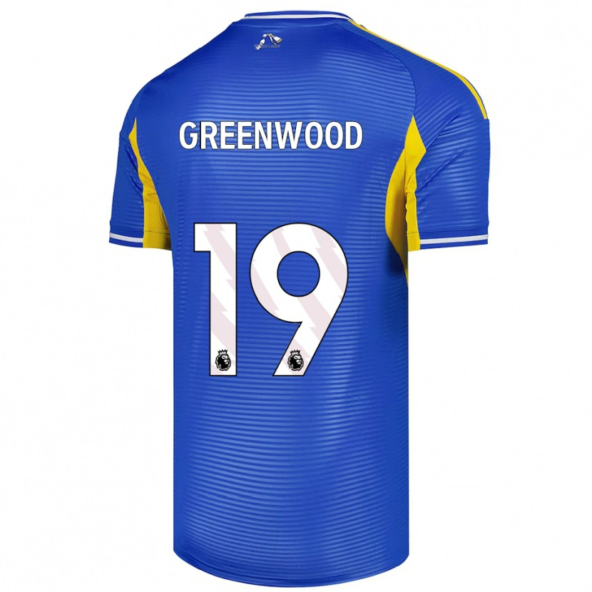 Danxen Criança Camisola Sam Greenwood #19 Azul Amarelo Alternativa 2025/26 Camisa