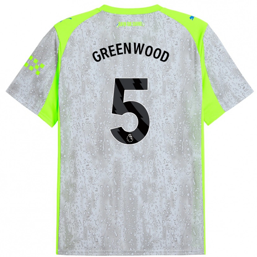 Danxen Criança Camisola Alex Greenwood #5 Cinza Amarelo Terceiro 2025/26 Camisa