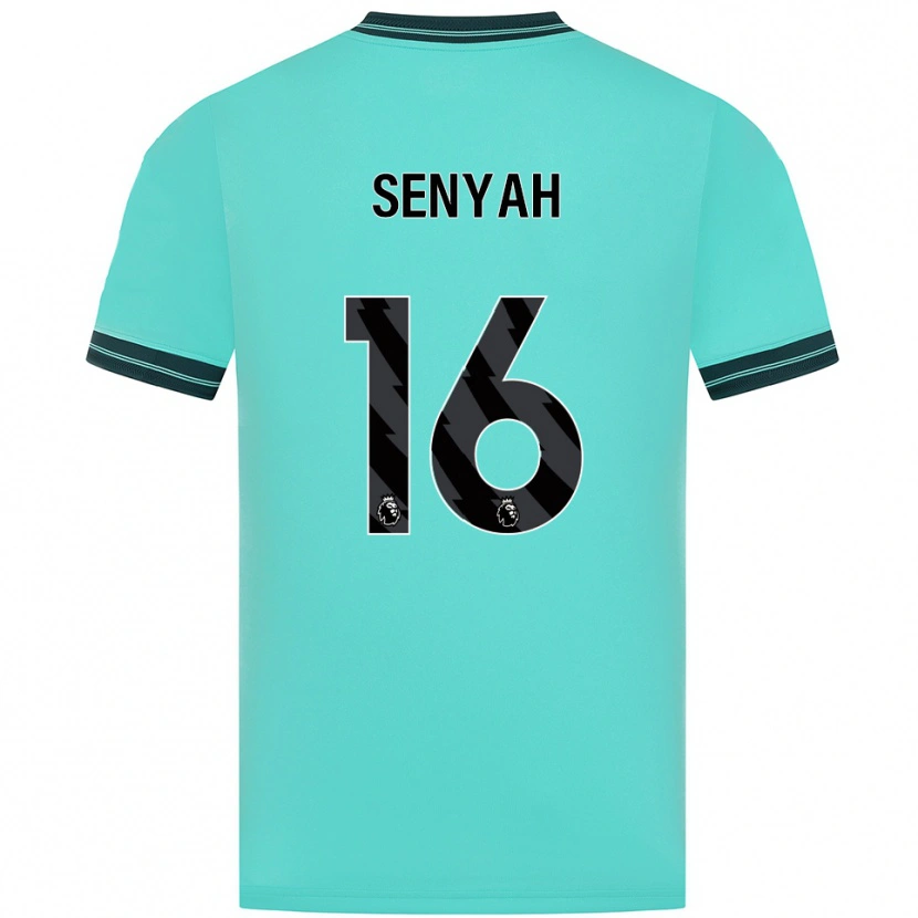 Danxen Homem Camisola Kwasi Senyah #16 Azul Celeste Verde Alternativa 2025/26 Camisa