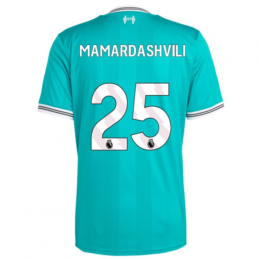 Danxen Homem Camisola Giorgi Mamardashvili #25 Verde Branco Terceiro 2025/26 Camisa