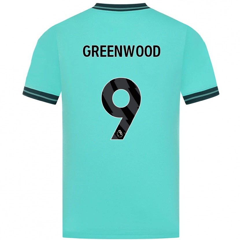 Danxen Mulher Camisola Jashayde Greenwood #9 Azul Celeste Verde Alternativa 2025/26 Camisa
