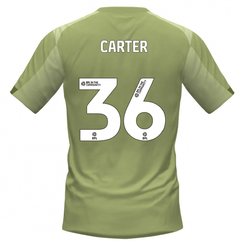 Danxen Criança Camisola Dan Carter #36 Sálvia Champagne Alternativa 2025/26 Camisa