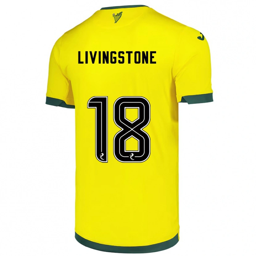 Danxen Homem Camisola Rosie Livingstone #18 Amarelo Verde Alternativa 2025/26 Camisa