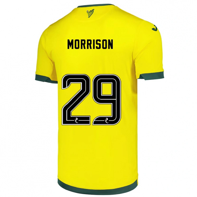 Danxen Homem Camisola Kirsty Morrison #29 Amarelo Verde Alternativa 2025/26 Camisa