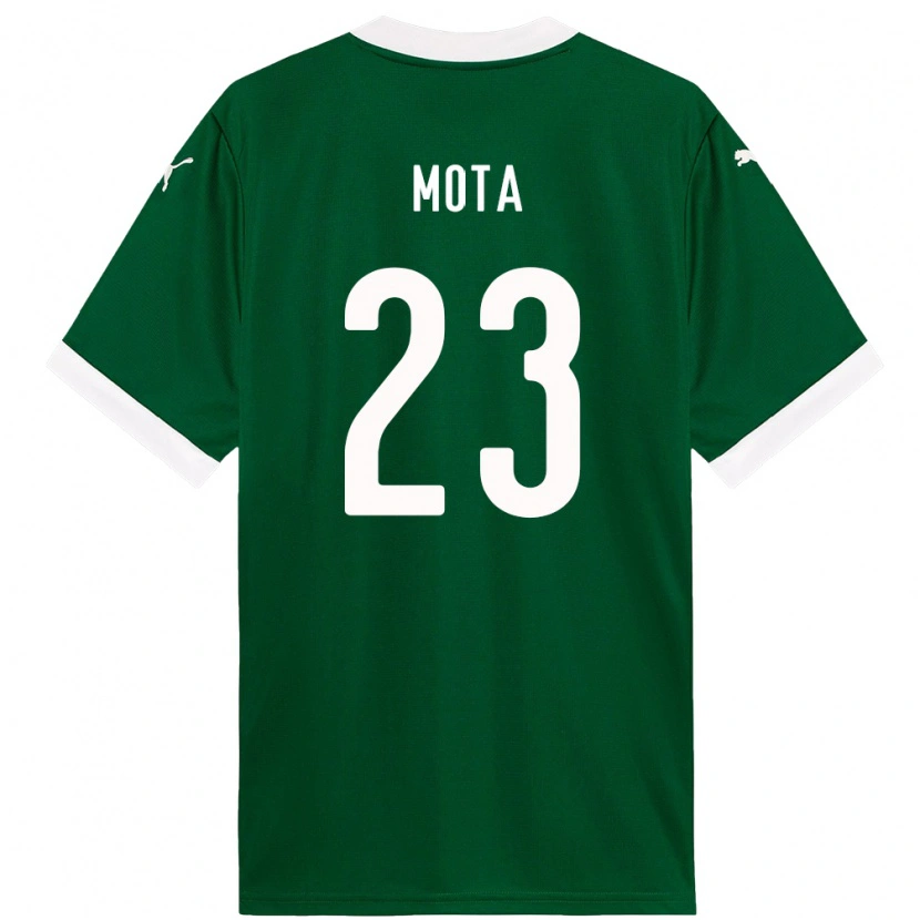 Danxen Criança Camisola Flávia Mota #23 Verde Branco Principal 2025/26 Camisa