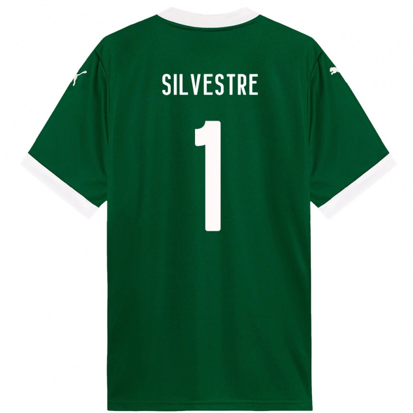 Danxen Homem Camisola Vinicius Silvestre #1 Verde Branco Principal 2025/26 Camisa