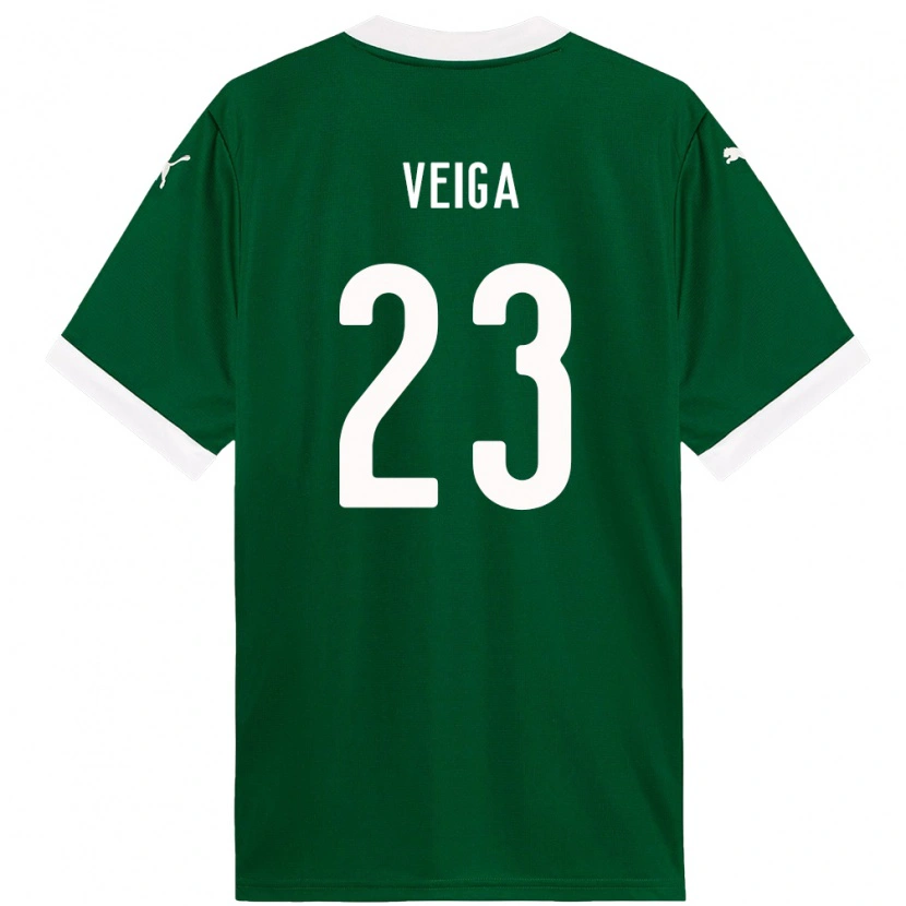 Danxen Mulher Camisola Raphael Veiga #23 Verde Branco Principal 2025/26 Camisa