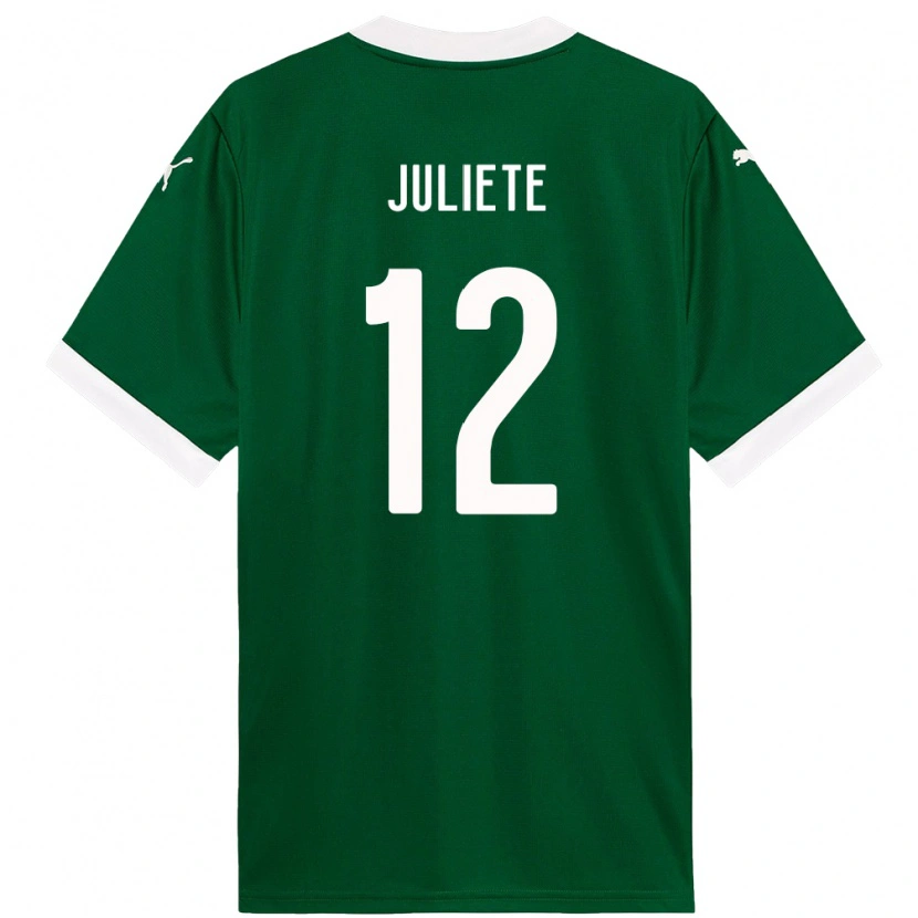 Danxen Mulher Camisola Juliete #12 Verde Branco Principal 2025/26 Camisa