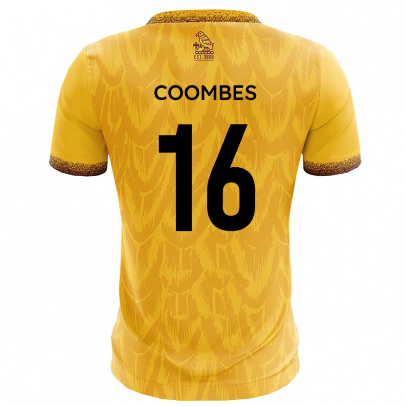 Danxen Criança Camisola Jay Coombes #16 Amarelo Marrom Principal 2025/26 Camisa