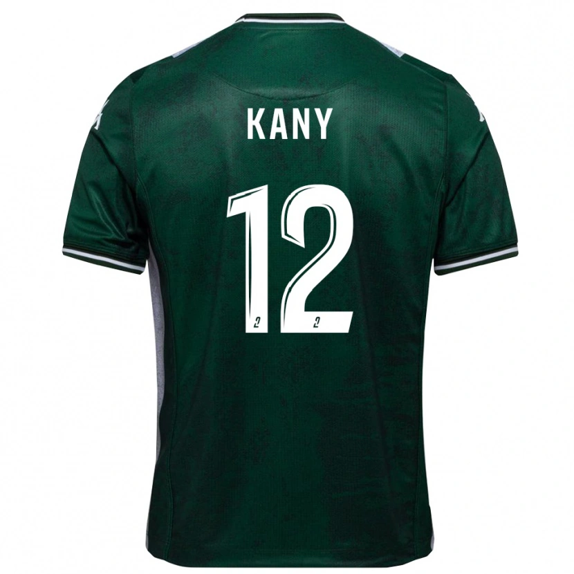 Danxen Criança Camisola Vincent Kany #12 Verde Branco Principal 2025/26 Camisa