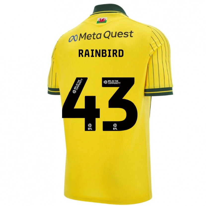 Danxen Criança Camisola James Rainbird #43 Amarelo Verde Alternativa 2025/26 Camisa