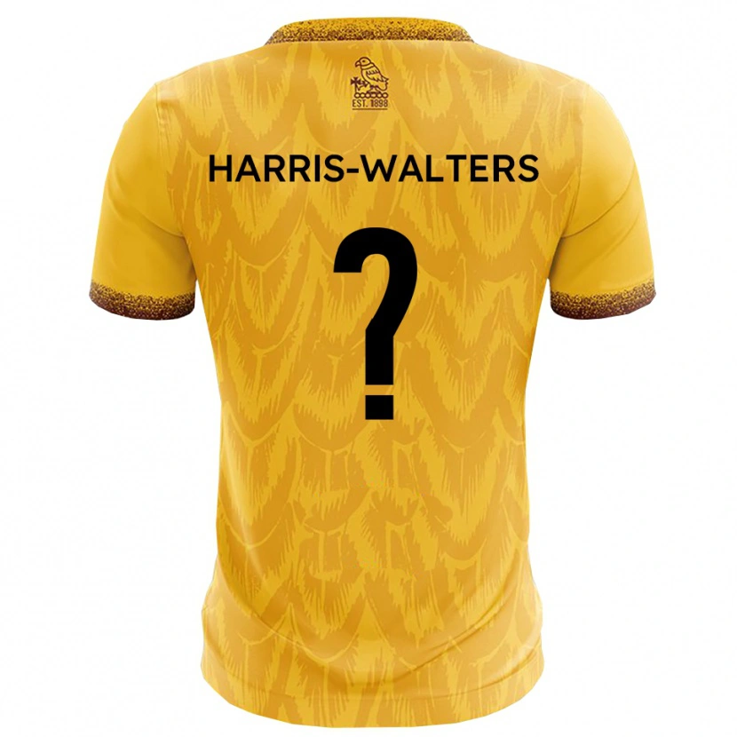 Danxen Homem Camisola Ilanna Harris-Walters #0 Amarelo Marrom Principal 2025/26 Camisa