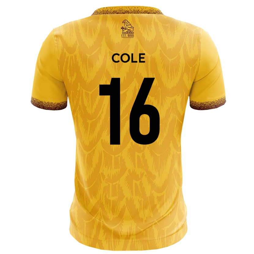 Danxen Mulher Camisola Harry Cole #16 Amarelo Marrom Principal 2025/26 Camisa
