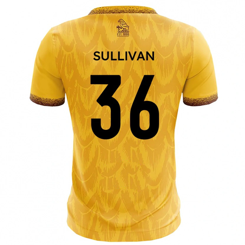 Danxen Mulher Camisola Cameron Sullivan #36 Amarelo Marrom Principal 2025/26 Camisa