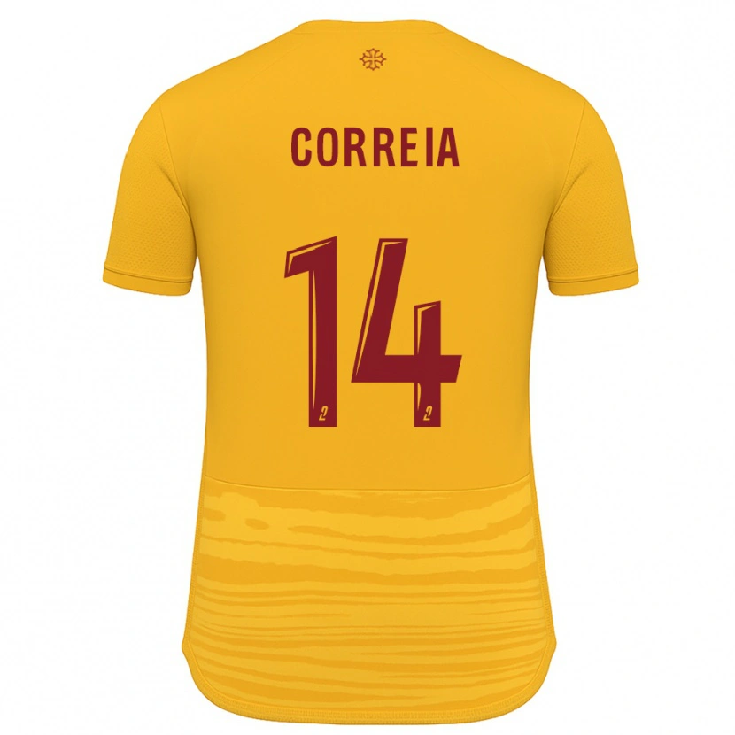 Danxen Mulher Camisola Tiago Correia #14 Laranja Borgonha Alternativa 2025/26 Camisa