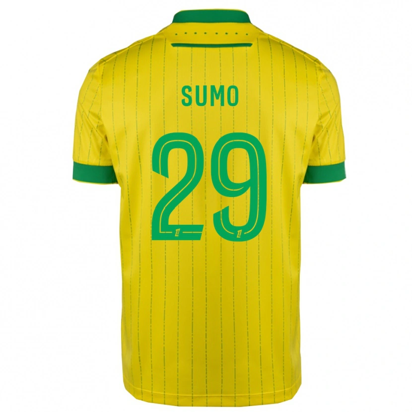 Danxen Criança Camisola Eva Sumo #29 Amarelo Verde Principal 2025/26 Camisa
