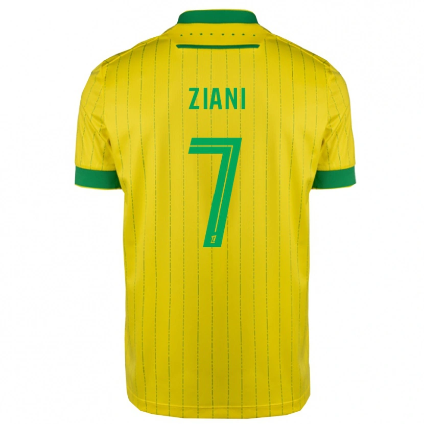 Danxen Mulher Camisola Sacha Ziani #7 Amarelo Verde Principal 2025/26 Camisa