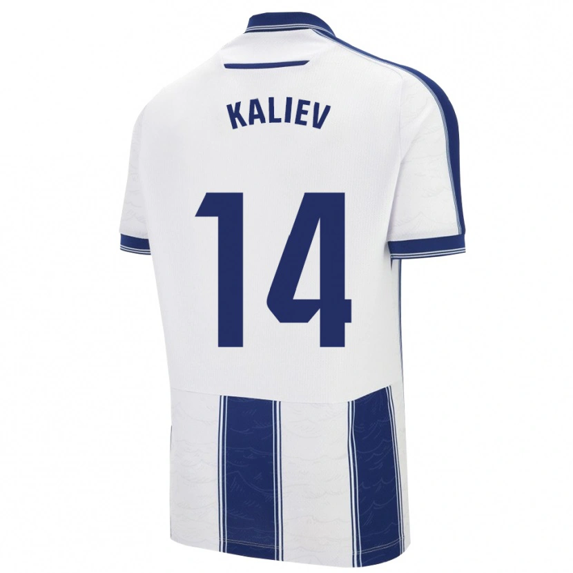 Danxen Mulher Camisola Shyngys Kaliev #14 Azul Marinho Branco Alternativa 2025/26 Camisa