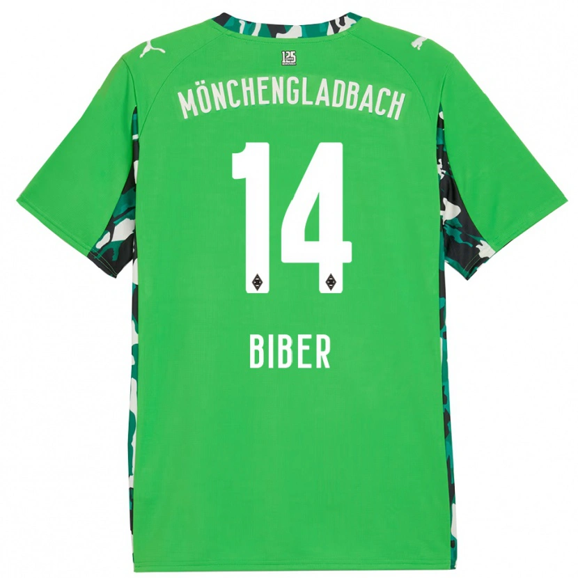 Danxen Criança Camisola Edin Biber #14 Verde Preto Alternativa 2025/26 Camisa