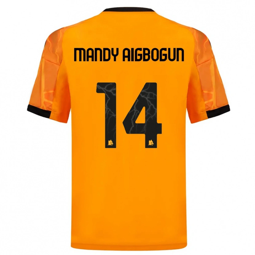 Danxen Homem Camisola Eseosa Mandy Aigbogun #14 Laranja Preto Alternativa 2025/26 Camisa
