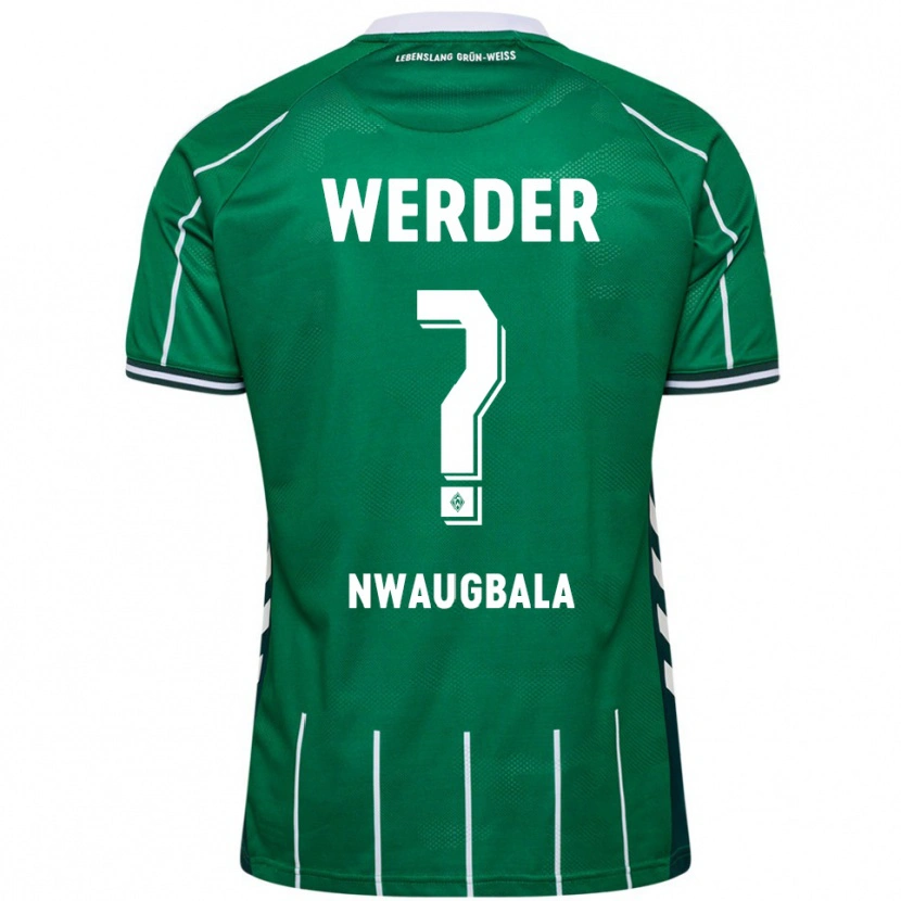 Danxen Mulher Camisola Kevin Nwaugbala #0 Verde Branco Principal 2025/26 Camisa