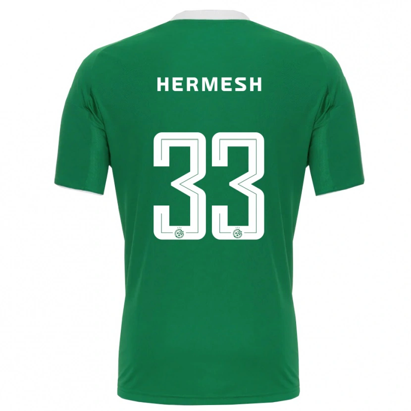 Danxen Criança Camisola Liam Hermesh #33 Verde Branco Principal 2025/26 Camisa