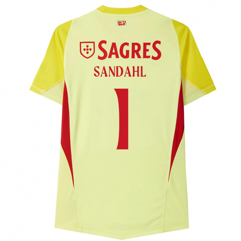 Danxen Criança Alexander Sandahl #1 Amarelo Vermelho Camisola Guarda-Redes 2025/26 Camisa