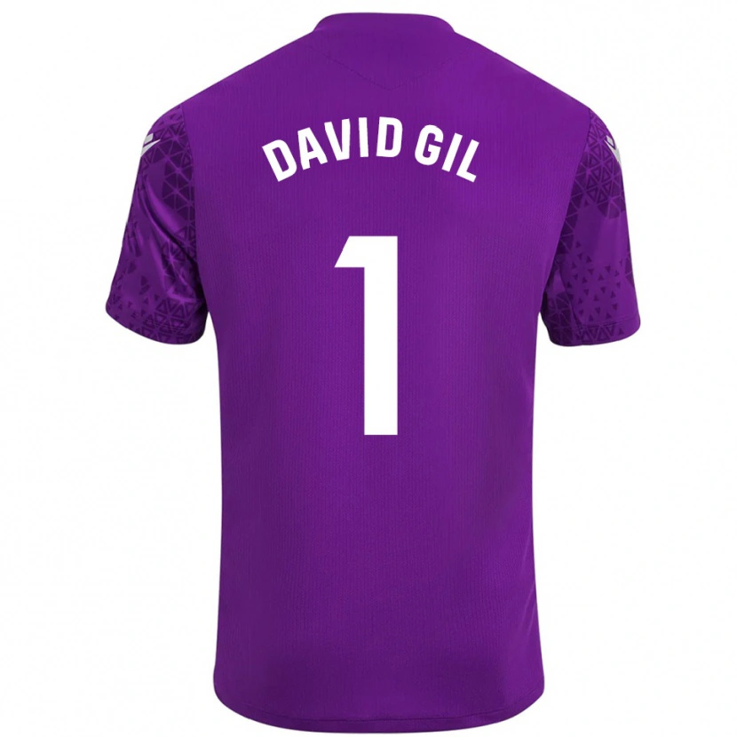 Danxen Criança David Gil #1 Roxo Escuro Branco Camisola Guarda-Redes 2025/26 Camisa