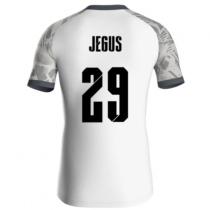 Danxen Homem Leonard Jegus #29 Cinza Branco Camisola Guarda-Redes 2025/26 Camisa