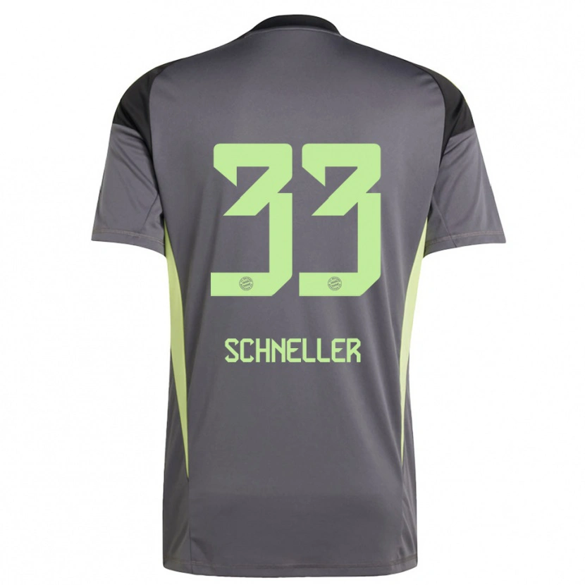 Danxen Homem Lukas Schneller #33 Amarelo Verde Preto Camisola Guarda-Redes 2025/26 Camisa