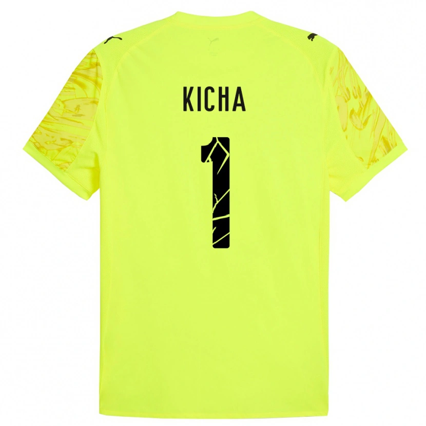 Danxen Homem Tymofiy Kicha #1 Verde Amarelo Camisola Guarda-Redes 2025/26 Camisa