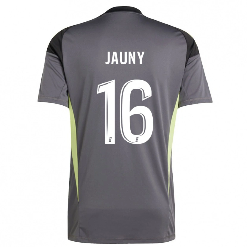 Danxen Mulher Noah Jauny #16 Cinza Escuro Verde Camisola Guarda-Redes 2025/26 Camisa