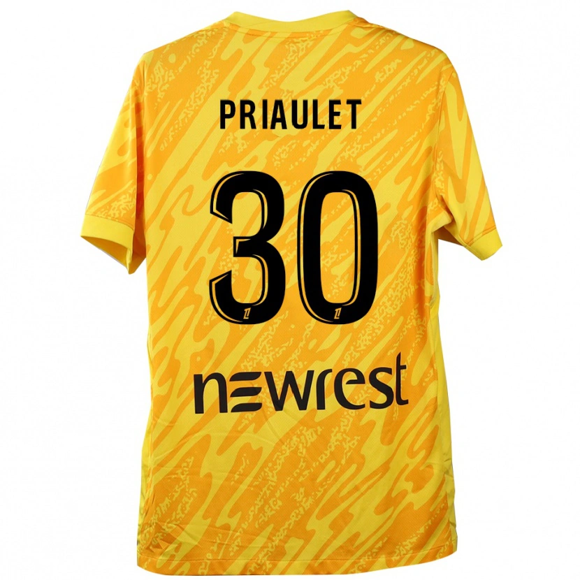 Danxen Mulher Anaïs Priaulet #30 Amarelo Preto Camisola Guarda-Redes 2025/26 Camisa