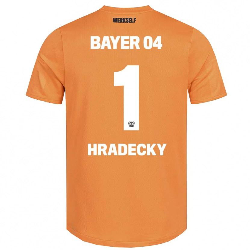 Danxen Mulher Lukas Hradecky #1 Marrom Areia Camisola Guarda-Redes 2025/26 Camisa
