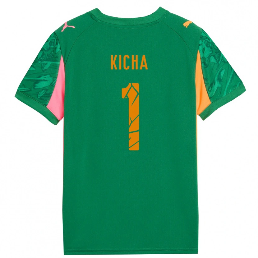 Danxen Mulher Tymofiy Kicha #1 Rosa Laranja Verde Camisola Guarda-Redes 2025/26 Camisa