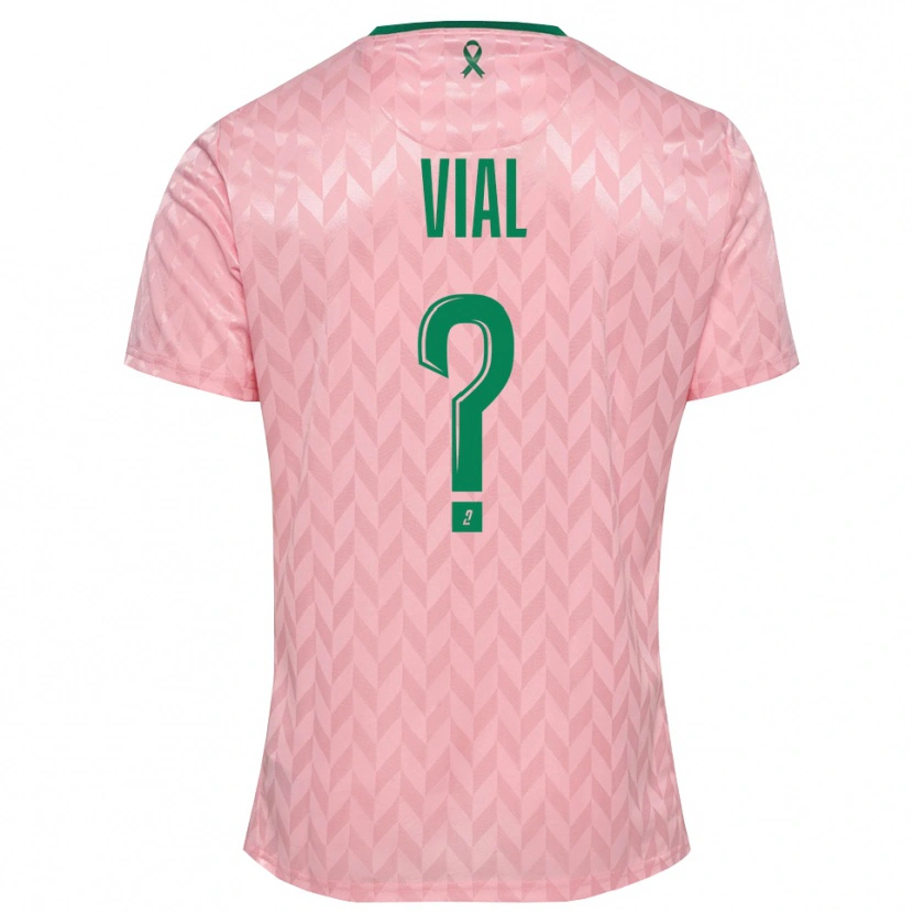 Danxen Mulher Lorik Vial #0 Verde Rosa Camisola Guarda-Redes 2025/26 Camisa