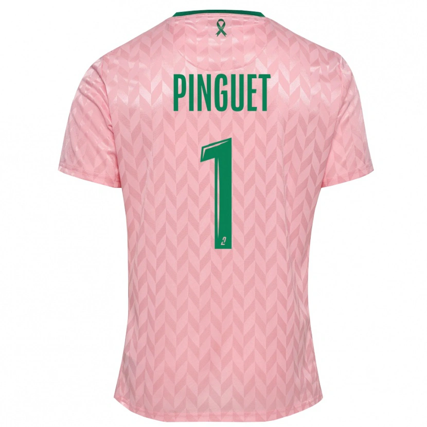 Danxen Mulher Alice Pinguet #1 Verde Rosa Camisola Guarda-Redes 2025/26 Camisa
