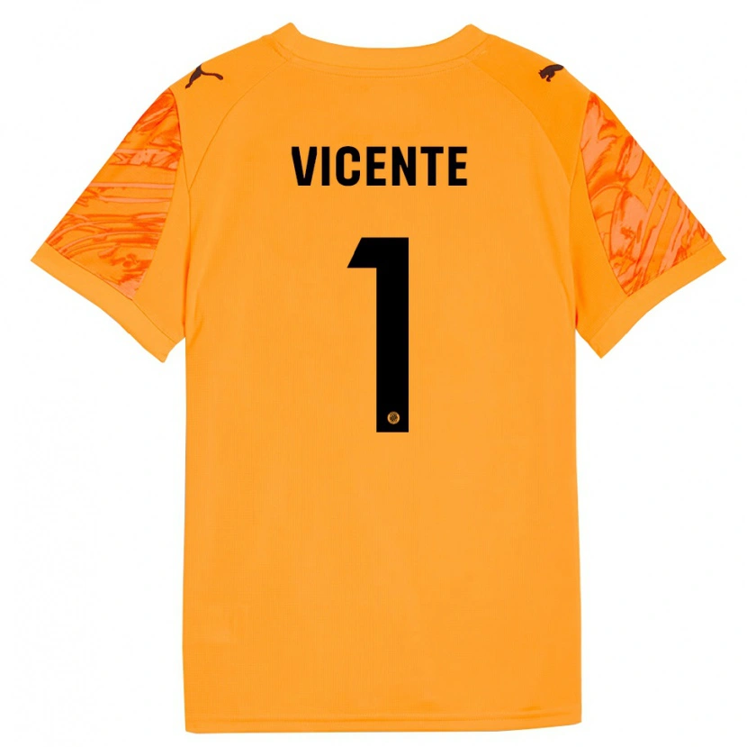 Danxen Mulher Diego Vicente #1 Laranja Preto Camisola Guarda-Redes 2025/26 Camisa