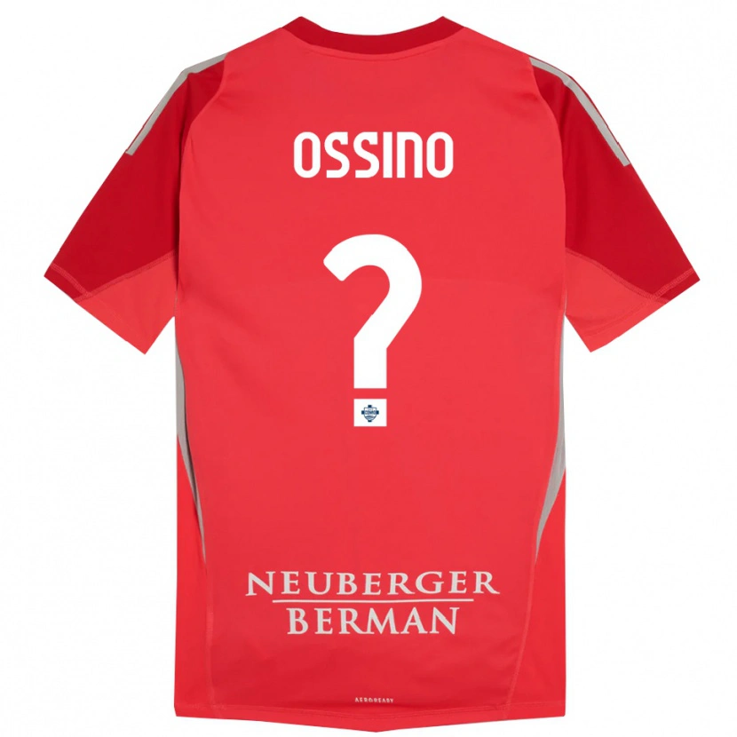 Danxen Mulher Daniel Ossino #0 Cinza Vermelho Camisola Guarda-Redes 2025/26 Camisa