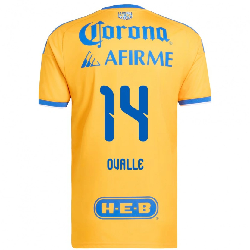 Danxen Criança Camisola Lizbeth Ovalle #14 Amarelo Azul Principal 2026/27 Camisa
