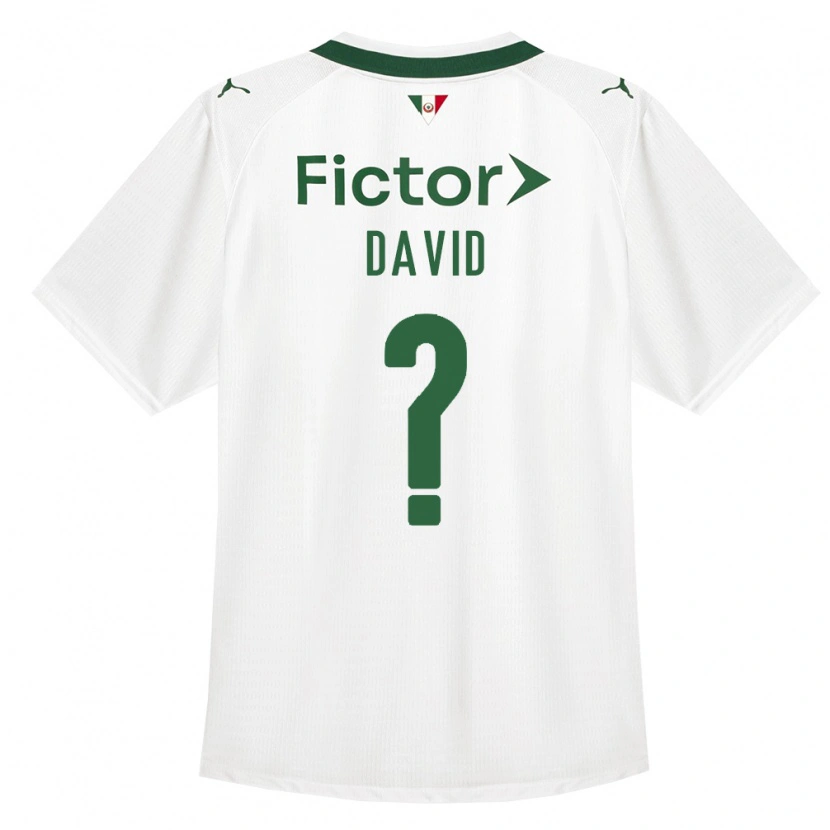 Danxen Criança Camisola David #0 Verde Branco Alternativa 2026/27 Camisa