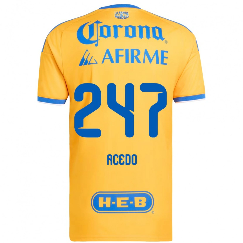 Danxen Homem Camisola Kevin Acedo #247 Amarelo Azul Principal 2026/27 Camisa