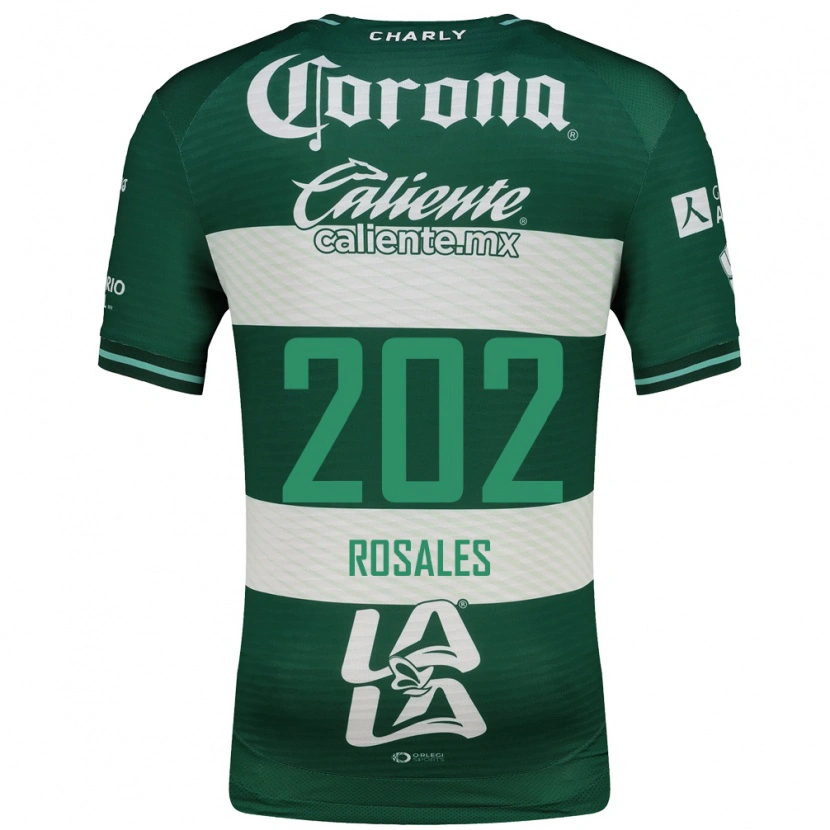 Danxen Homem Camisola Luis Rosales #202 Verde Branco Principal 2026/27 Camisa