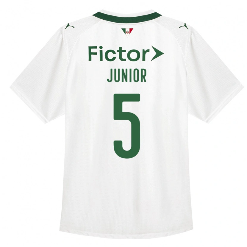 Danxen Homem Camisola Amilton Junior #5 Verde Branco Alternativa 2026/27 Camisa