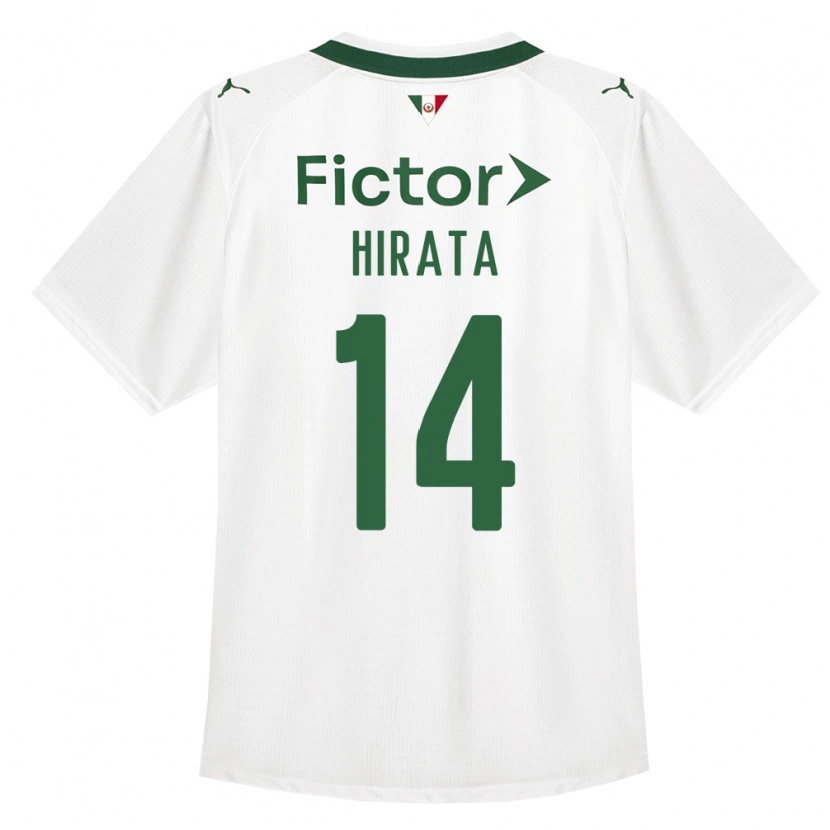 Danxen Homem Camisola Bruna Hirata #14 Verde Branco Alternativa 2026/27 Camisa
