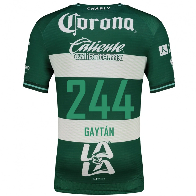 Danxen Mulher Camisola Axel Gaytán #244 Verde Branco Principal 2026/27 Camisa