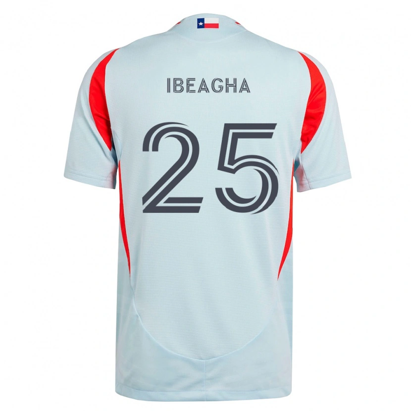 Danxen Criança Camisola Sebastien Ibeagha #25 Cinza Escuro Branco Vermelho Alternativa 2026/27 Camisa