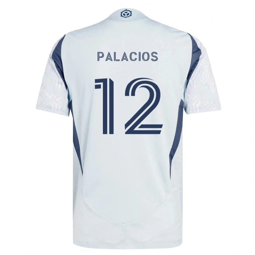 Danxen Homem Camisola Denzel Palacios #12 Azul Branco Cinza Alternativa 2026/27 Camisa